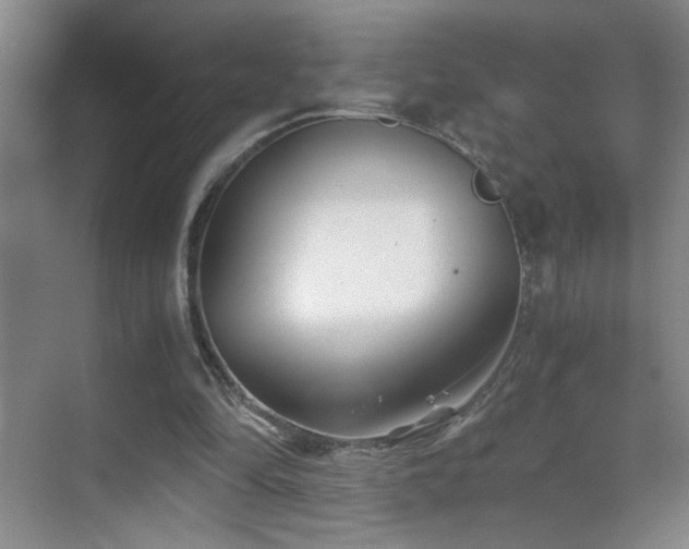 X0000069830294200605191147