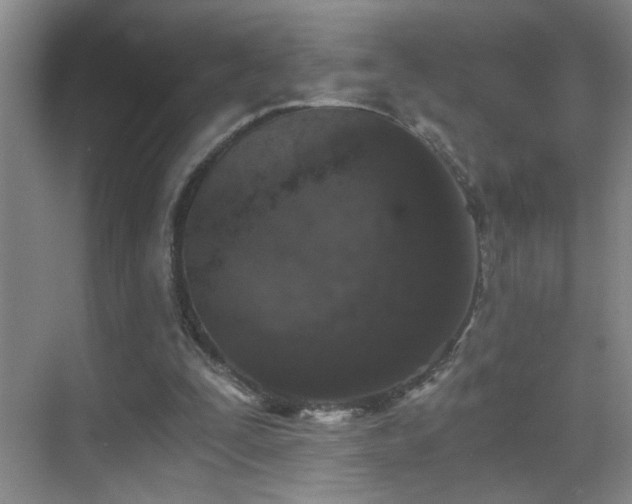 X0000069830295200605191147