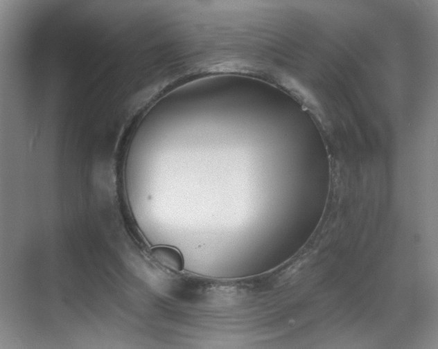 X0000069830298200605191147