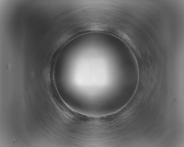 X0000069830299200605191147