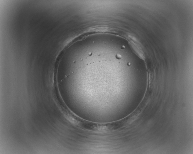 X0000069830301200605191147