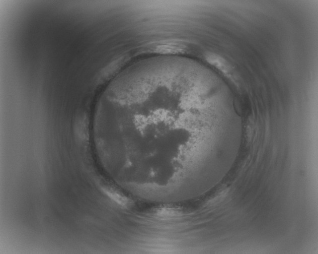 X0000069830303200605191147