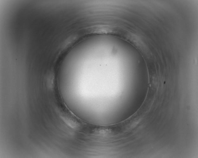 X0000069830304200605191147