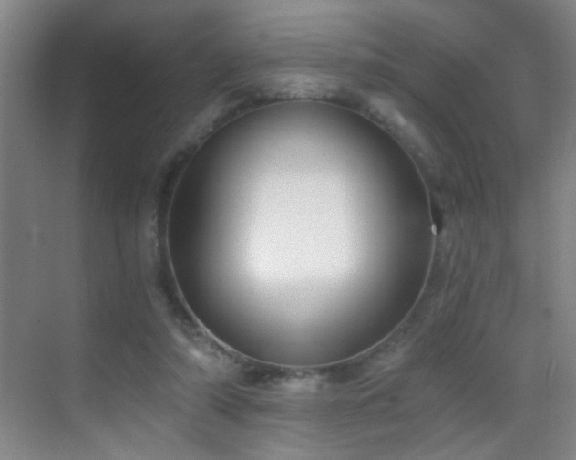 X0000069830306200605191147