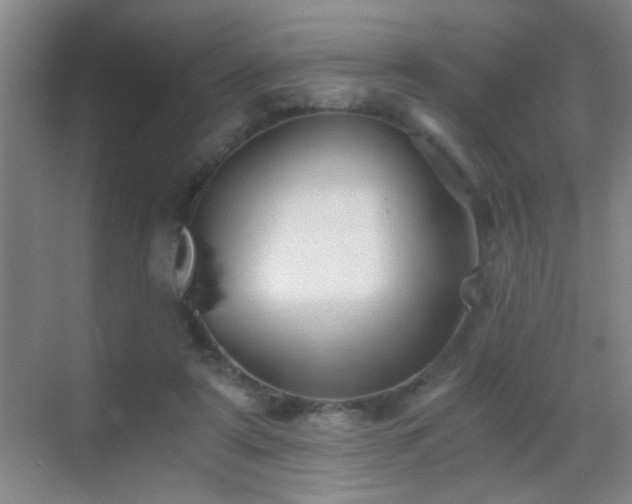 X0000069830307200605191147