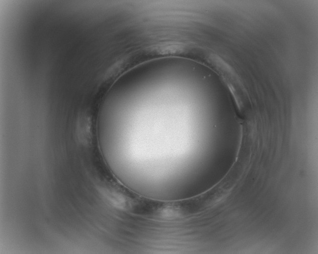 X0000069830308200605191147