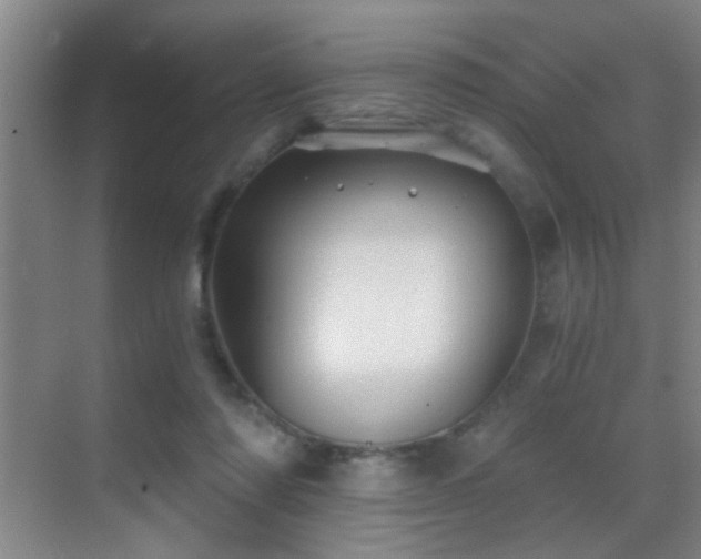 X0000069830310200605191146