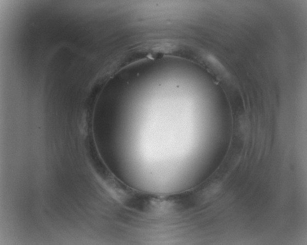 X0000069830311200605191146