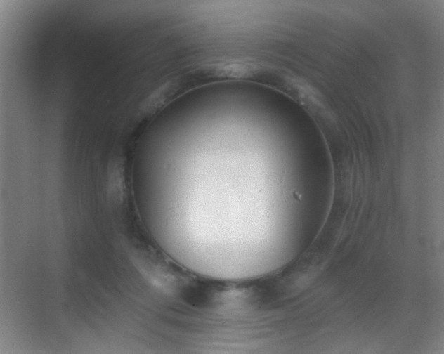 X0000069830312200605191146