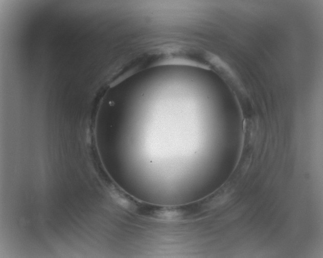 X0000069830313200605191146