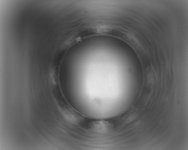 X0000069830316200605191146