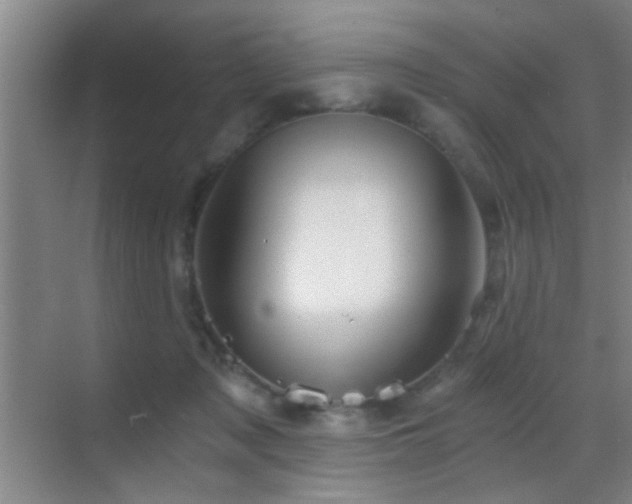 X0000069830317200605191146