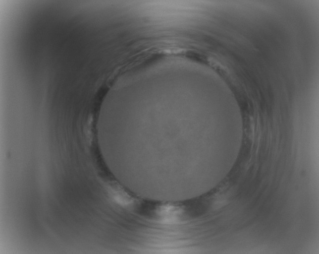 X0000069830319200605191146