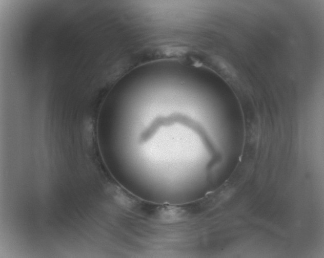 X0000069830321200605191146