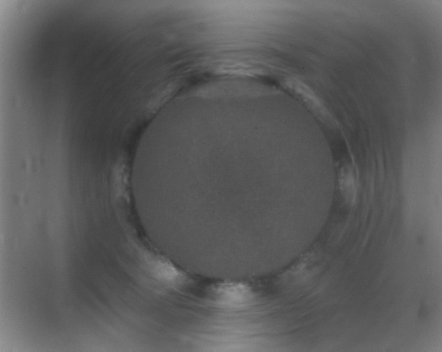 X0000069830322200605191146