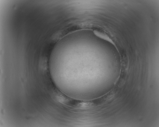 X0000069830323200605191146