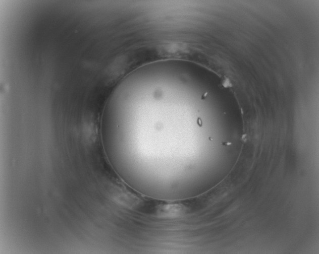 X0000069830324200605191146