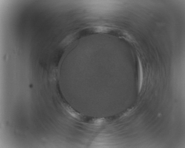 X0000069830325200605191146