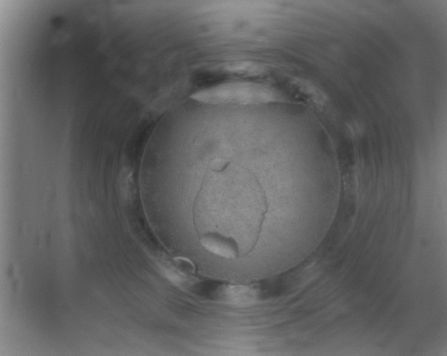 X0000069830327200605191146