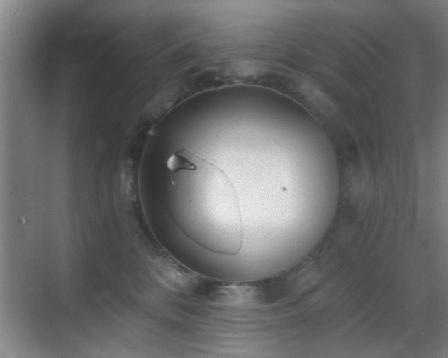 X0000069830328200605191146