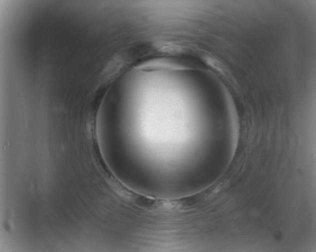 X0000069830329200605191146