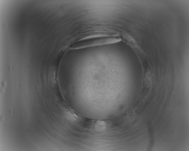 X0000069830330200605191146