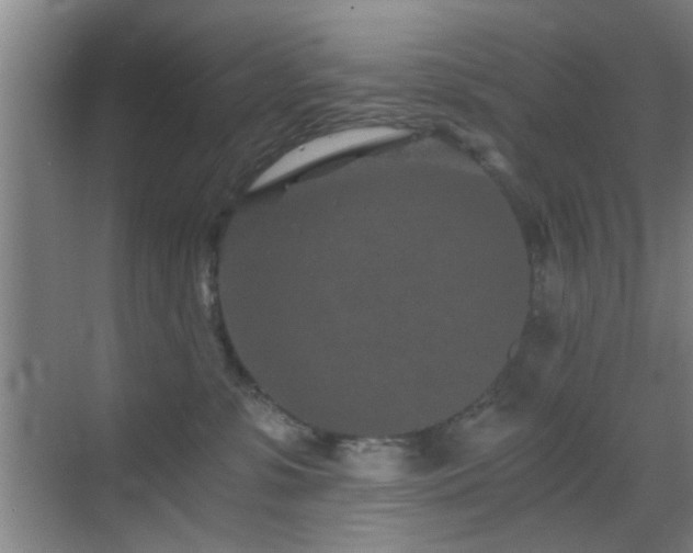 X0000069830331200605191146