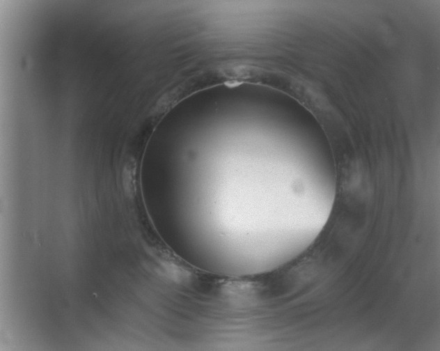 X0000069830332200605191146