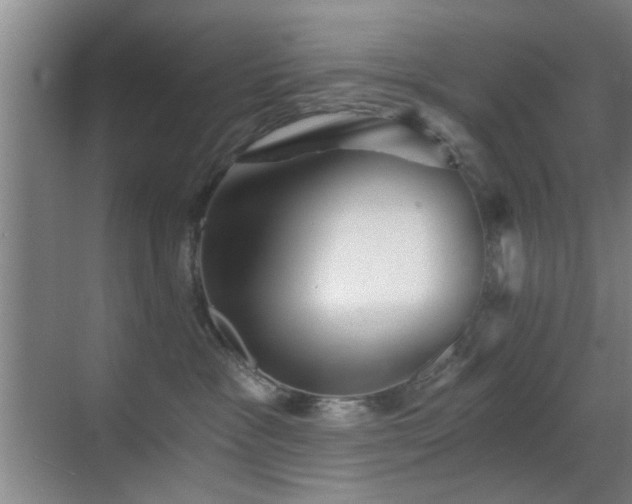 X0000069830333200605191146