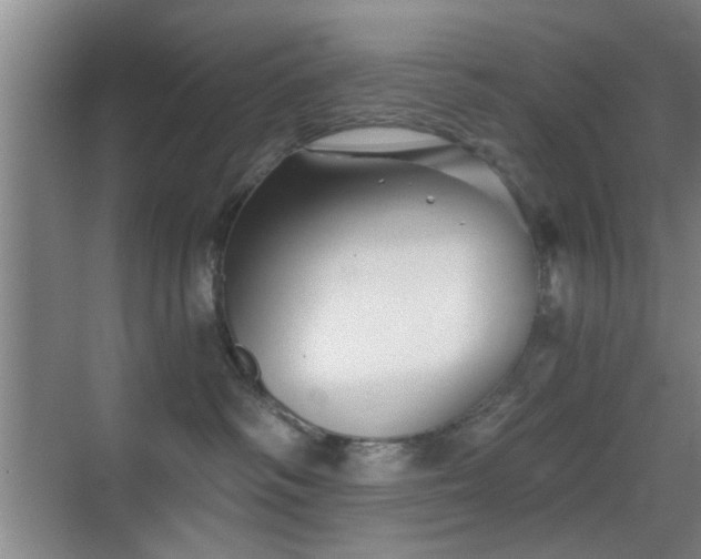 X0000069830334200605191146