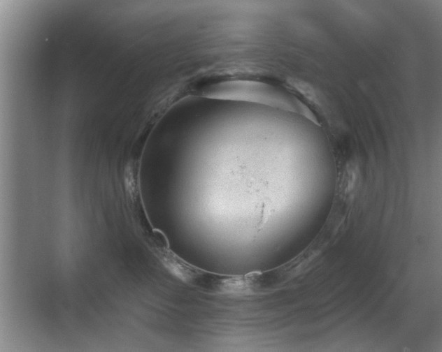 X0000069830335200605191146