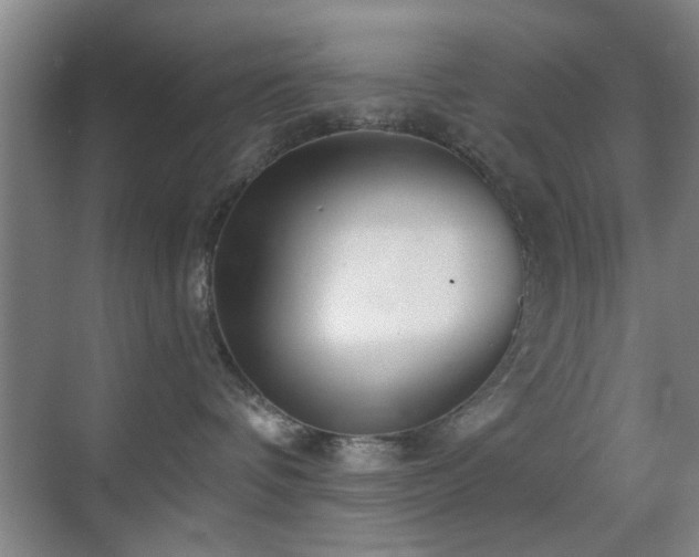 X0000069830336200605191146