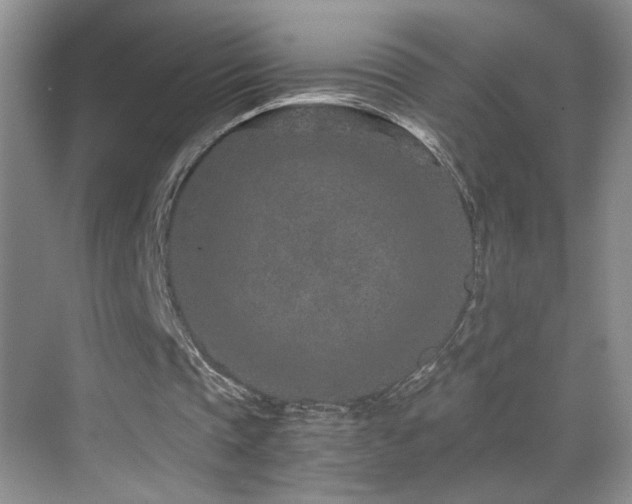 X0000069830337200605191145