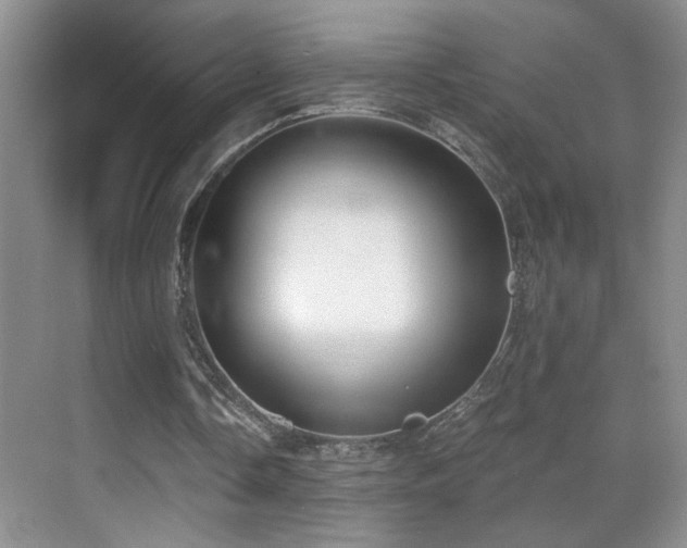 X0000069830338200605191145