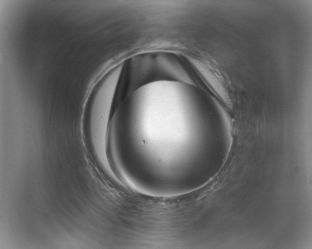 X0000069830340200605191145