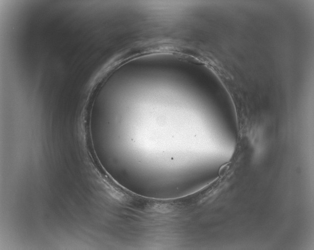 X0000069830341200605191145