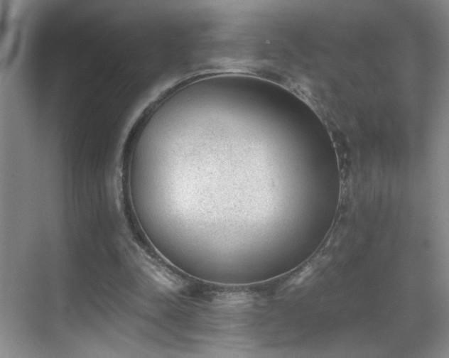 X0000069830342200605191145