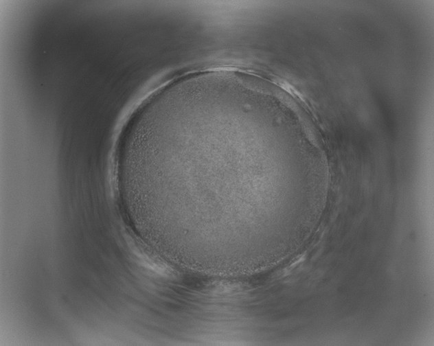 X0000069830343200605191145