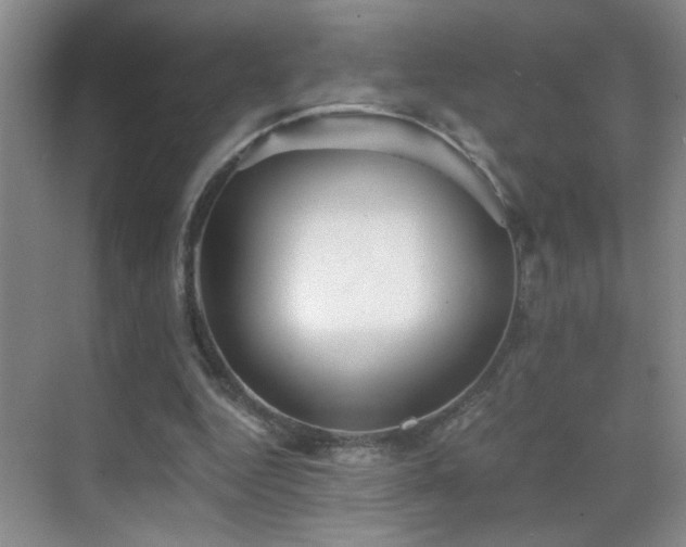 X0000069830344200605191145