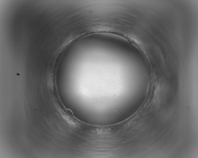 X0000069830345200605191145