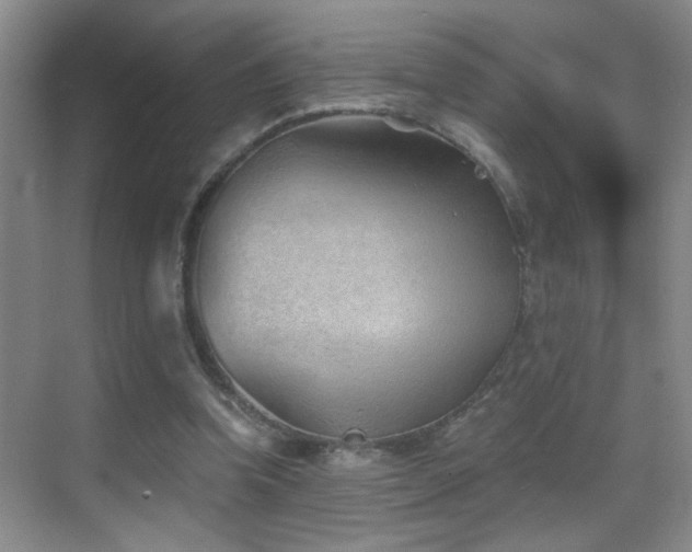 X0000069830346200605191145