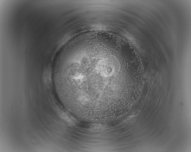 X0000069830347200605191145