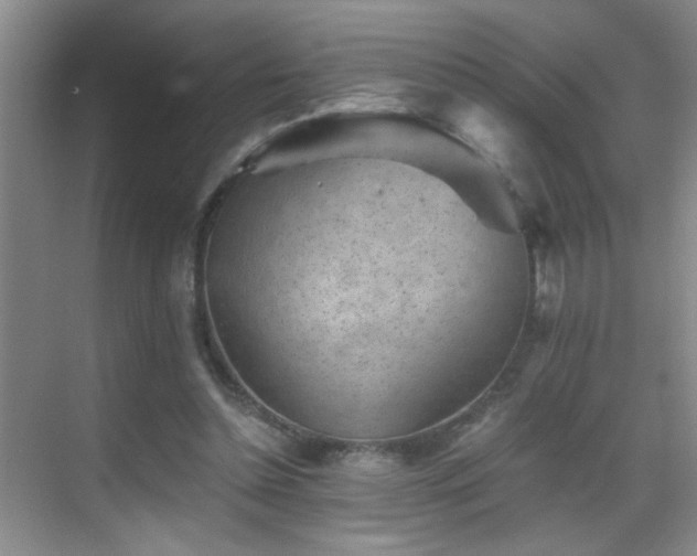 X0000069830348200605191145