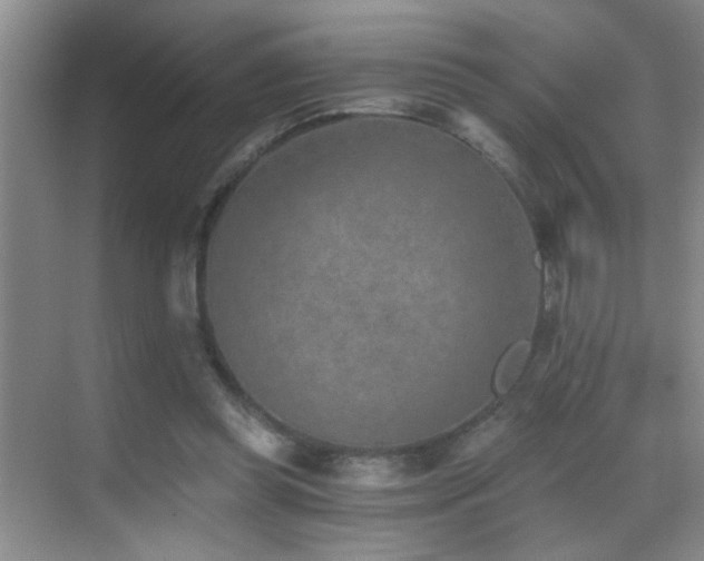 X0000069830349200605191145