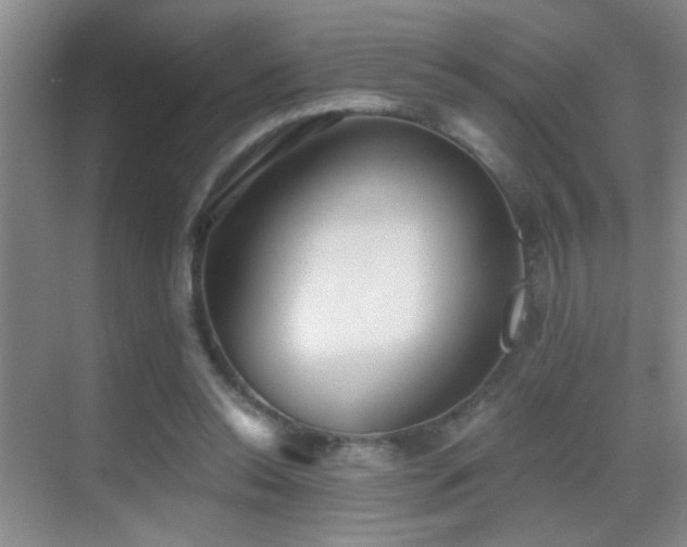 X0000069830350200605191145