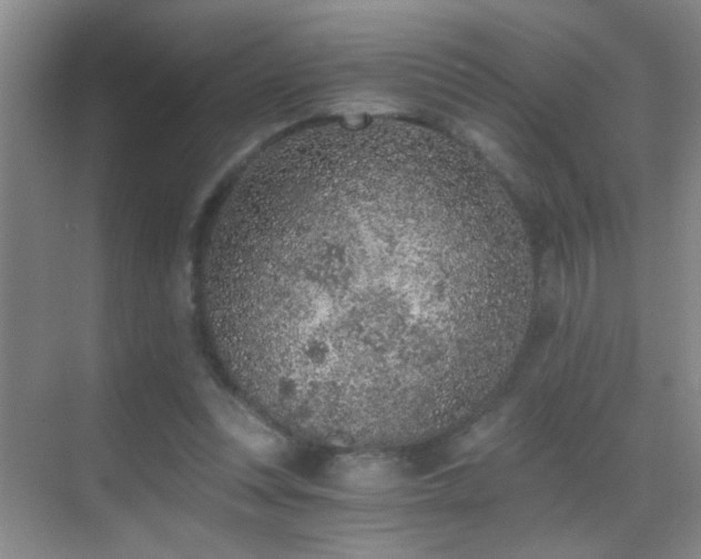 X0000069830351200605191145