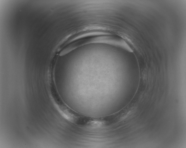 X0000069830352200605191146