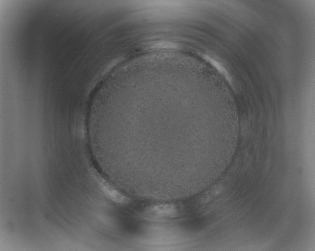 X0000069830353200605191146