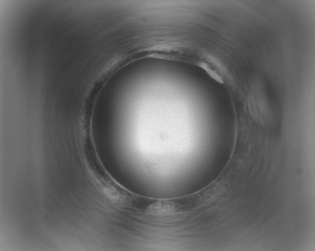 X0000069830354200605191146