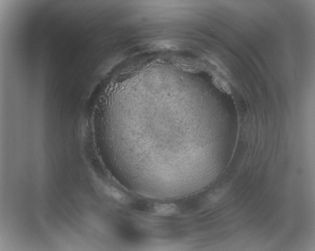 X0000069830355200605191146